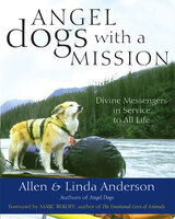 Angel Dogs with a Mission: Divine Messengers in Service to All Life - Allen Anderson, Linda Anderson