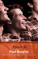 Afterlife: A Novel - Paul Monette