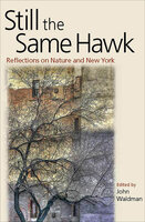 Still the Same Hawk: Reflections on Nature and New York - 