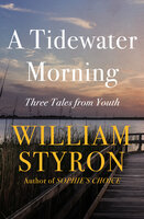 A Tidewater Morning: Three Tales from Youth - William Styron