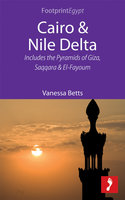 Cairo & Nile Delta: Includes the Pyramids of Giza, Saqqara and El-Fayoum - Vanessa Betts
