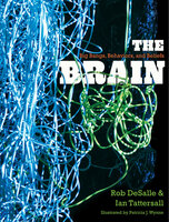 The Brain : Big Bangs, Behaviors and Beliefs: Big Bangs, Behaviors, and Beliefs - Ian Tattersall, Rob DeSalle
