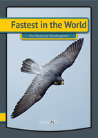 Fastest in the World - Per Straarup Søndergaard