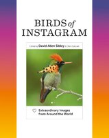 Birds of Instagram: Extraordinary Images from Around the World - Various authors