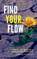 Find Your Flow: How to Get Wisdom and Knowledge from God - Dan Desmarques