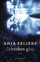Gebroken glas - Anja Feliers