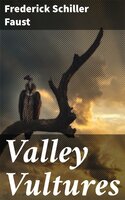 Valley Vultures - Frederick Schiller Faust