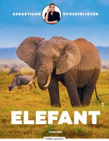 Sebastians dyrebibliotek: elefant - Sebastian Klein