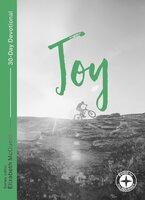 Joy: Food for the Journey - Elizabeth McQuoid