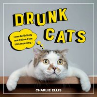 Drunk Cats: Hilarious Snaps of Wasted Cats - Charlie Ellis