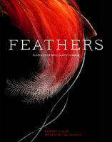 Feathers: Displays of Brilliant Plumage - Robert Clark