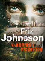 Vandring i vissheten - Erik Johnsson