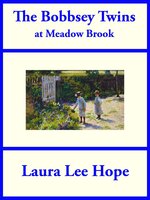 The Bobbsey Twins at Meadow Brook - Laura Lee Hope