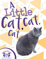 A Little Cat, Cat, Cat - Kim Mitzo Thompson, Karen Mitzo Hilderbrand