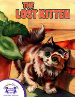 The Lost Kitten - Jo Albee