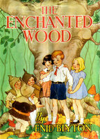 The Enchanted Wood (Faraway Tree #1) - Enid Blyton