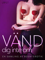 Vänd dig inte om: En samling av BDSM-erotik - Malin Edholm, Elena Lund, Alicia Luz, Ashley B. Stone, Amira Daivari