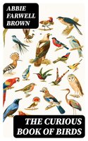 The Curious Book of Birds - Abbie Farwell Brown