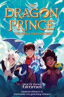 Dragon Prince – Der Prinz der Drachen Buch 2: Himmel (Roman) - Aaron Ehasz