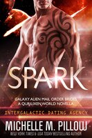 Spark: A Qurilixen World Novella - Michelle M. Pillow