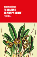 Peregrino transparente - Juan Cárdenas