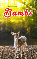 Bambi: Illustrierte Ausgabe - Eine Lebensgeschichte aus dem Walde - Felix Salten