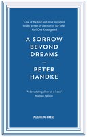 A Sorrow Beyond Dreams - Peter Handke
