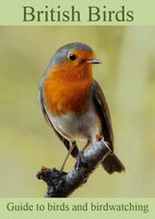 British Birds - Colin Salter