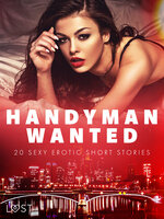Handyman Wanted - 20 Sexy Erotic Short Stories - Malin Edholm, Vanessa Salt, Britta Bocker, Saga Stigsdotter, Amanda Backman, Nicolas Lemarin, Christina Tempest, Chrystelle LeRoy
