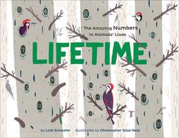 Lifetime: The Amazing Numbers in Animal Lives - Lola M. Schaefer