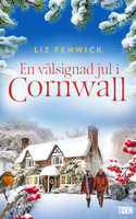 En välsignad jul i Cornwall - Liz Fenwick