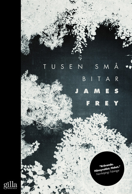 James Frey - Tusen små bitar