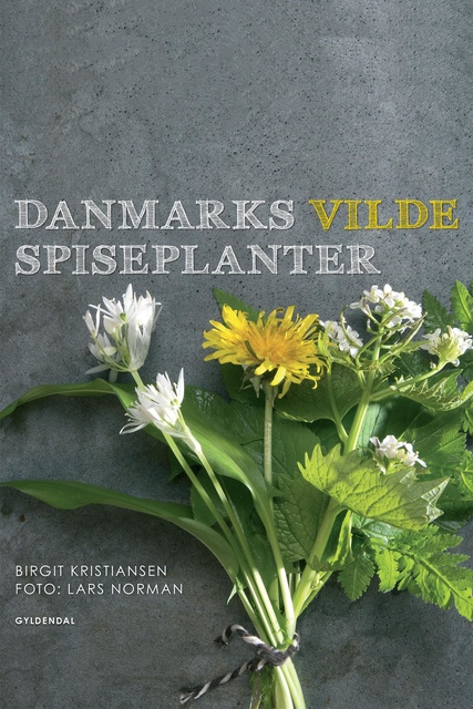 Birgit Kristiansen - Danmarks vilde spiseplanter