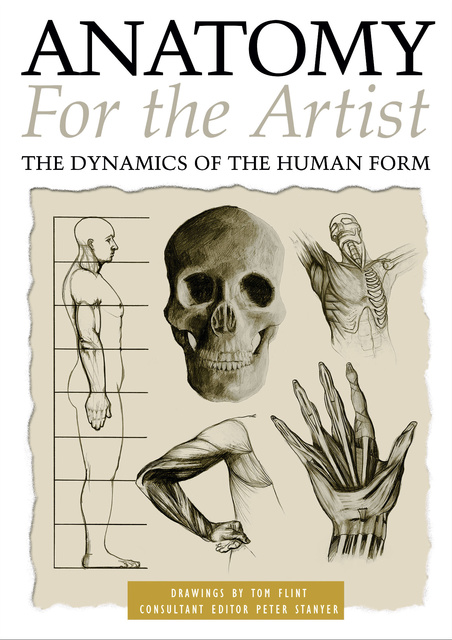 Peter Stanyer, Tom Flint - Anatomy for the Artist