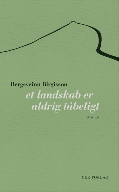 Bergsveinn Birgisson - Et landskab er aldrig tåbeligt