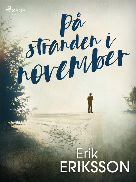 Erik Eriksson - På stranden i november