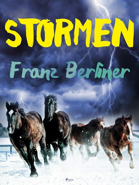 Franz Berliner - Stormen