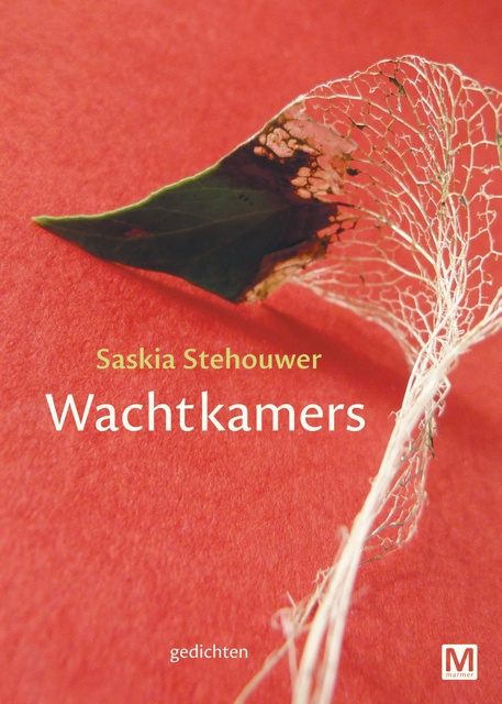Saskia Stehouwer - Wachtkamers: gedichten
