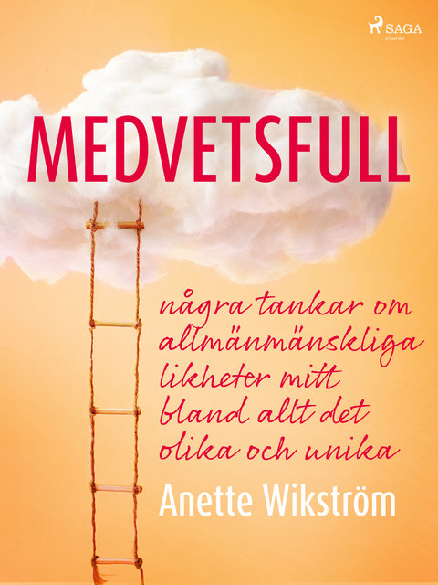 Anette Wikström - Medvetsfull: några tankar om allmänmänskliga likheter mitt bland allt det olika och unika