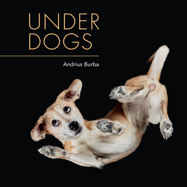 Andrius Burba - Under Dogs