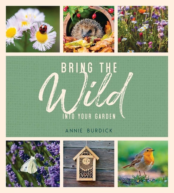 Bring the Wild into Your Garden Simple Tips for Creating a Wildlife Haven