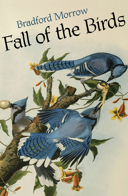 Bradford Morrow - Fall of the Birds