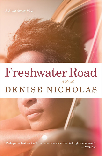 Denise Nicholas - Freshwater Road: A Novel