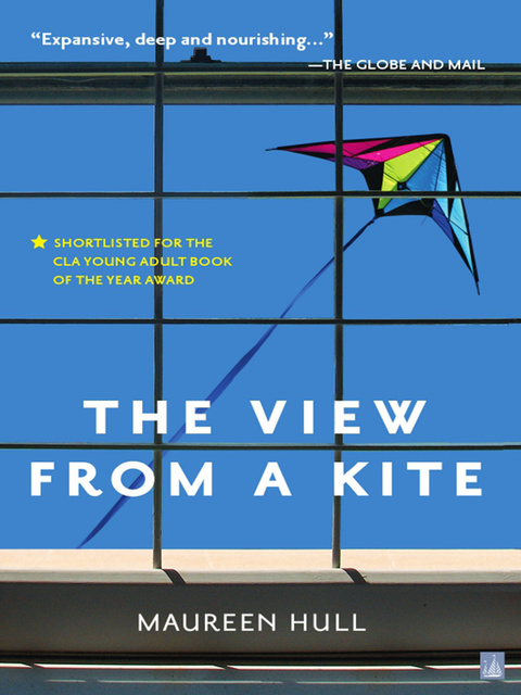 Maureen Hull - The View From a Kite