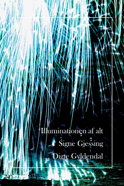 Signe Gjessing - Illuminationen af alt